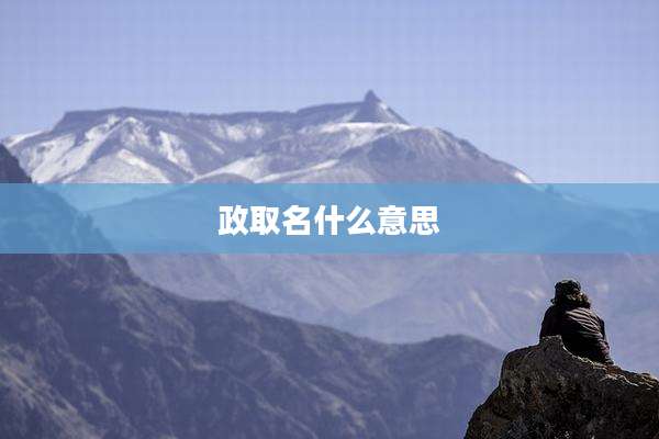 政取名什么意思