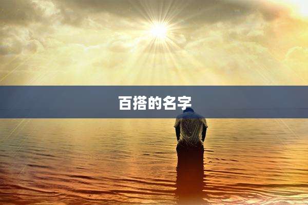 百搭的名字