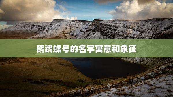 鹦鹉螺号的名字寓意和象征