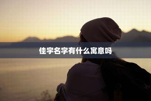 佳宇名字有什么寓意吗