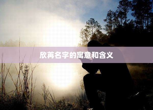 欣苒名字的寓意和含义