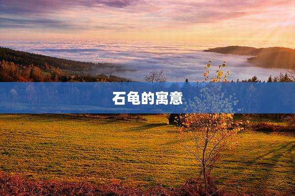 石龟的寓意