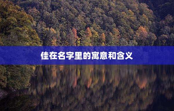 佳在名字里的寓意和含义