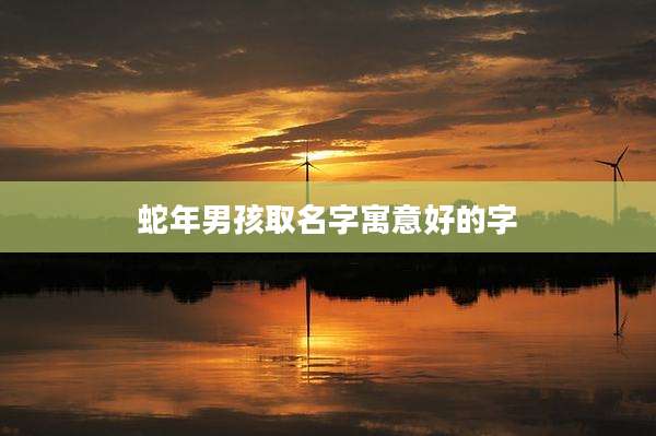 蛇年男孩取名字寓意好的字
