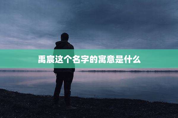 禹宸这个名字的寓意是什么