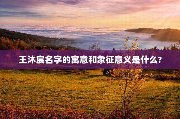 王沐宸名字的寓意和象征意义是什么?