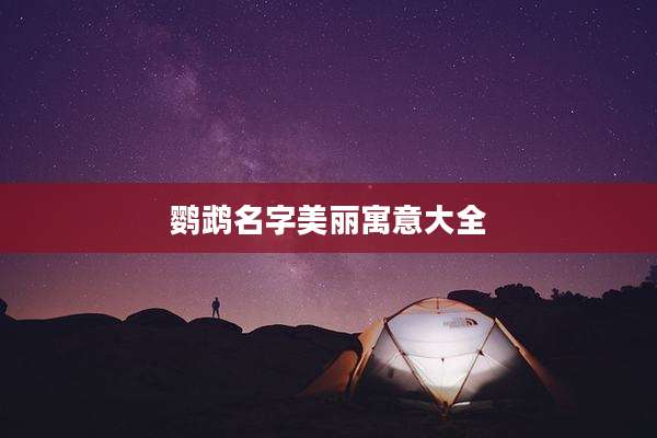 鹦鹉名字美丽寓意大全