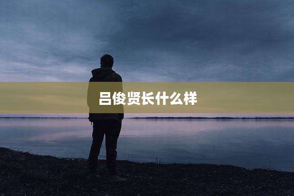 吕俊贤长什么样