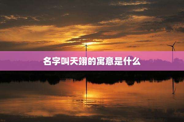 名字叫天翊的寓意是什么