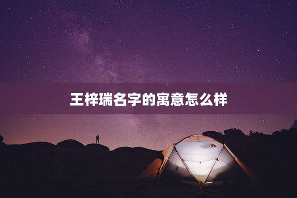 王梓瑞名字的寓意怎么样
