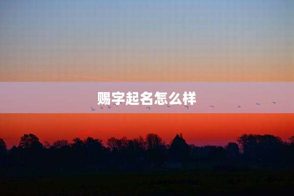 赐字起名怎么样