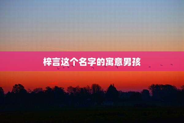 梓言这个名字的寓意男孩