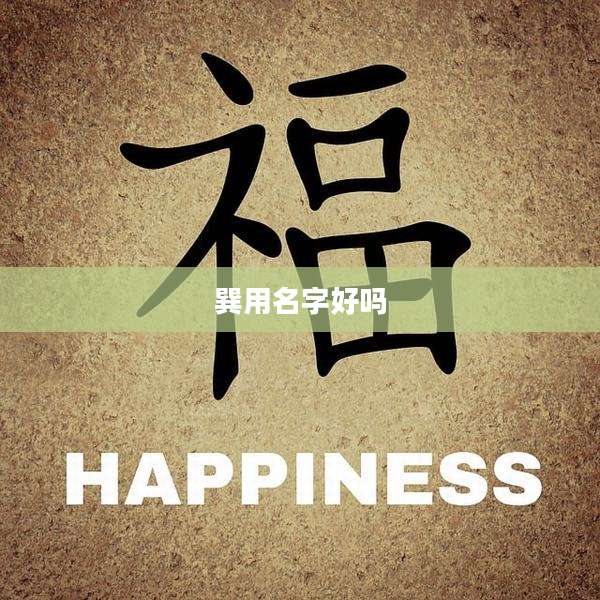巽用名字好吗