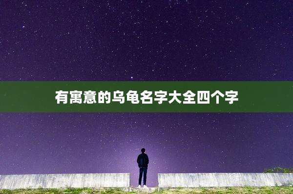 有寓意的乌龟名字大全四个字