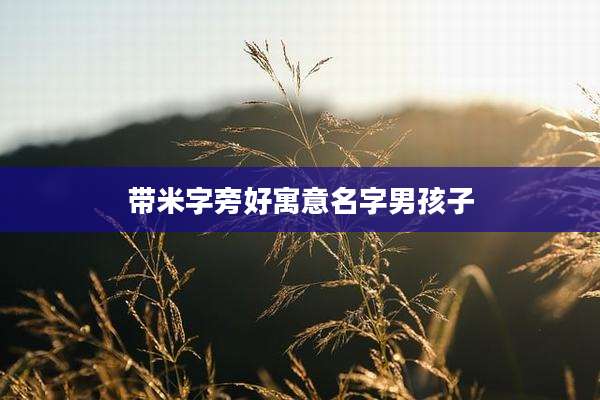 带米字旁好寓意名字男孩子