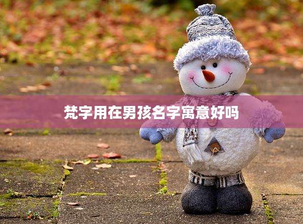 梵字用在男孩名字寓意好吗