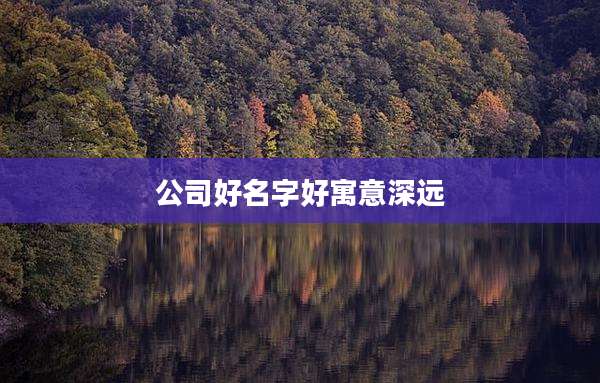公司好名字好寓意深远