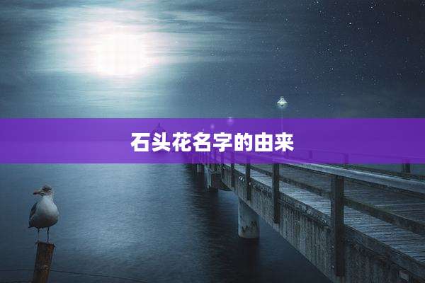 石头花名字的由来