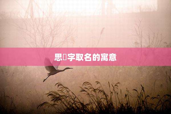 思宬字取名的寓意