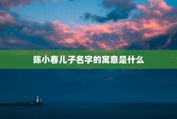 陈小春儿子名字的寓意是什么