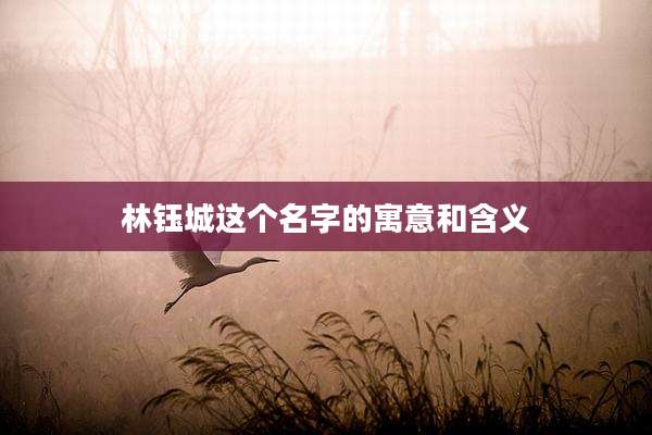 林钰城这个名字的寓意和含义