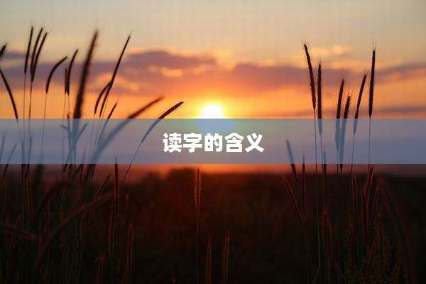 读字的含义