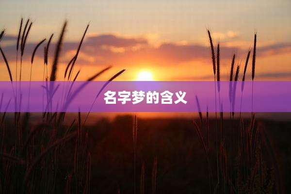 名字梦的含义