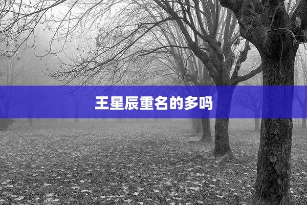 王星辰重名的多吗