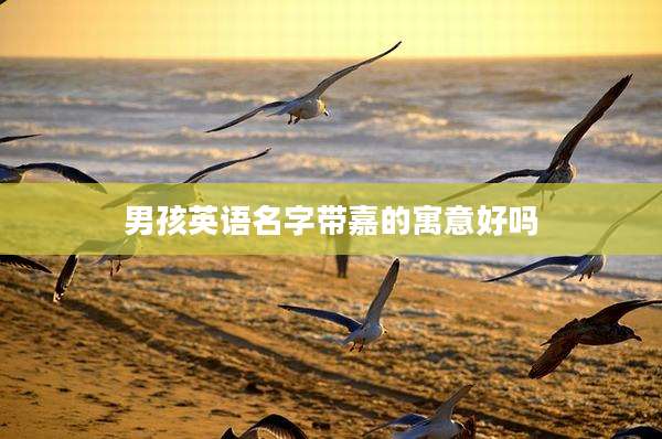 男孩英语名字带嘉的寓意好吗