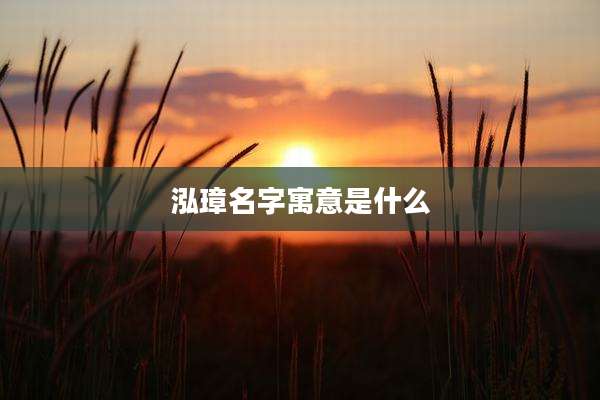 泓璋名字寓意是什么