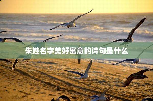 朱姓名字美好寓意的诗句是什么