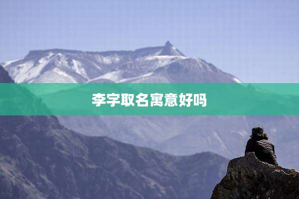 李字取名寓意好吗