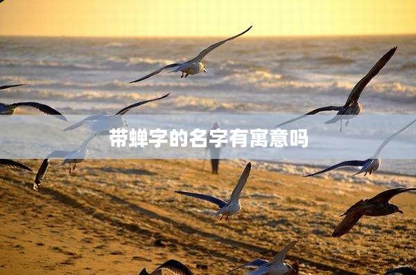 带蝉字的名字有寓意吗