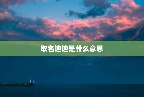 取名迪迪是什么意思