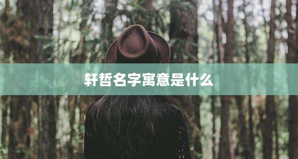 轩哲名字寓意是什么