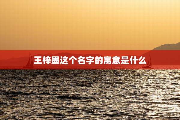 王梓墨这个名字的寓意是什么