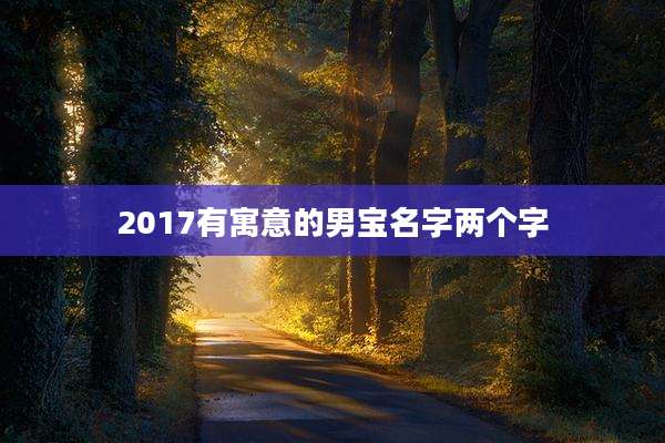 2017有寓意的男宝名字两个字