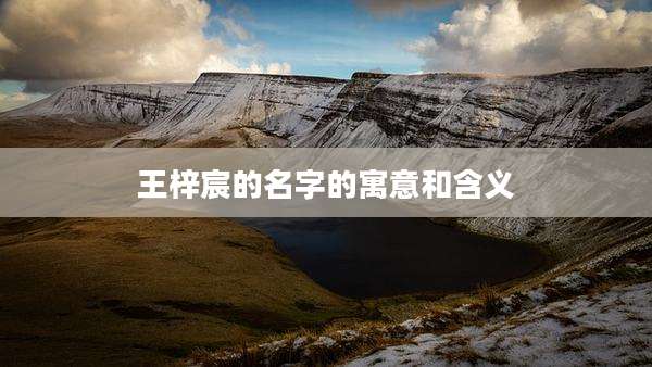 王梓宸的名字的寓意和含义