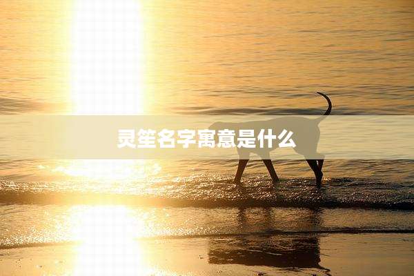 灵笙名字寓意是什么