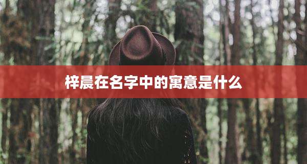 梓晨在名字中的寓意是什么