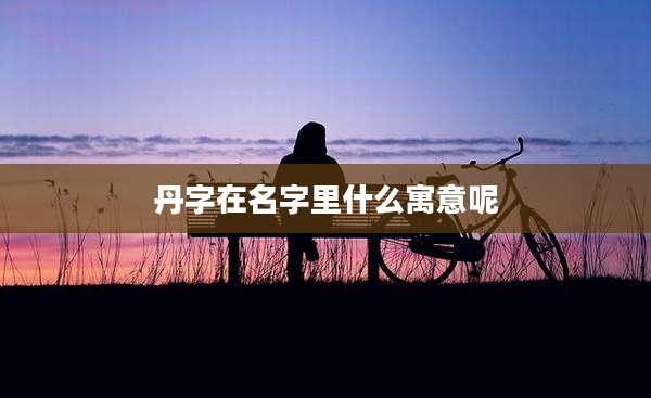 丹字在名字里什么寓意呢