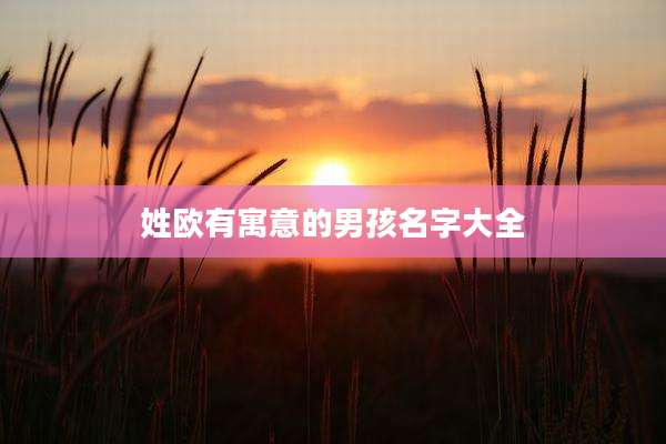 姓欧有寓意的男孩名字大全