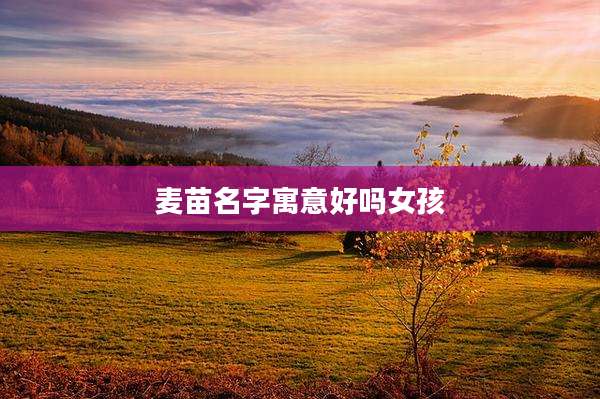 麦苗名字寓意好吗女孩