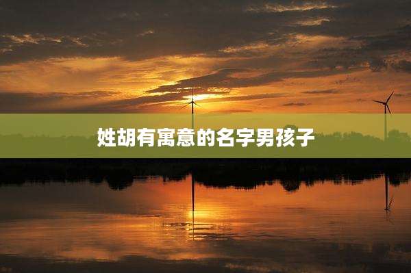 姓胡有寓意的名字男孩子