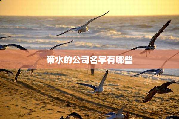 带水的公司名字有哪些