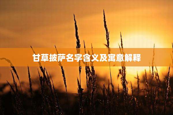 甘草披萨名字含义及寓意解释