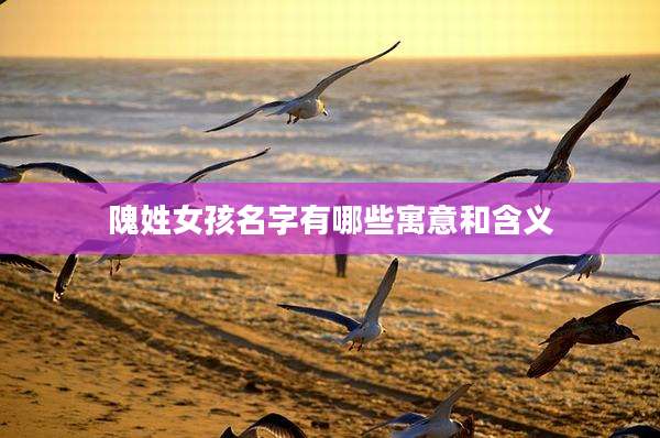 隗姓女孩名字有哪些寓意和含义