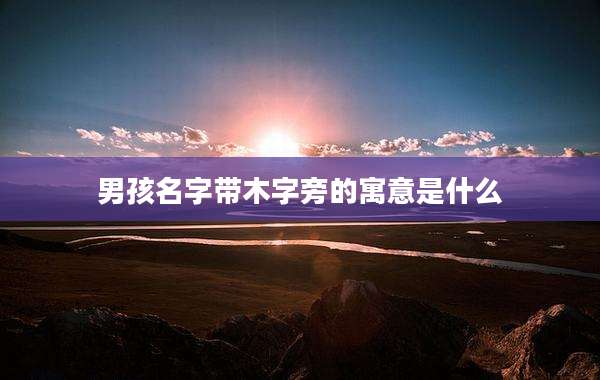 男孩名字带木字旁的寓意是什么