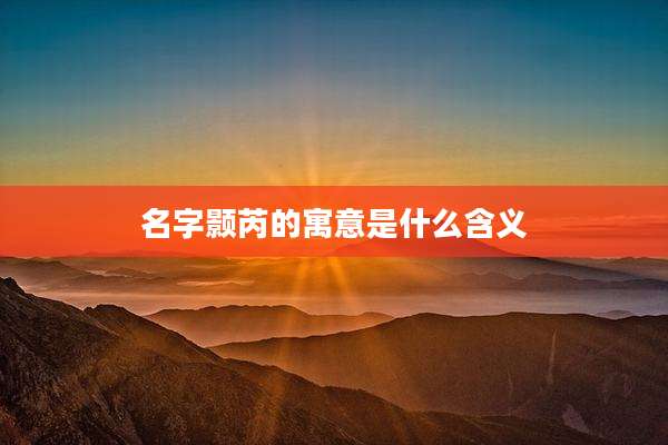 名字颢芮的寓意是什么含义