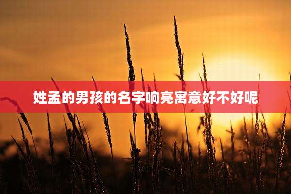 姓孟的男孩的名字响亮寓意好不好呢